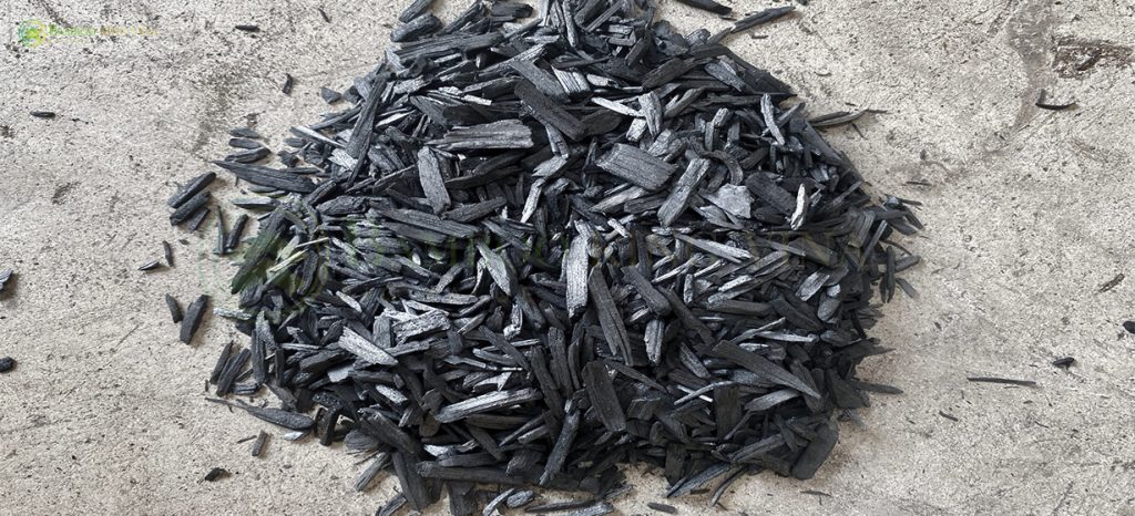 Than Sinh học Biocha