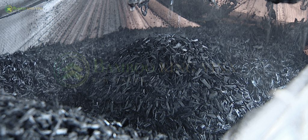 Than Sinh học Biocha