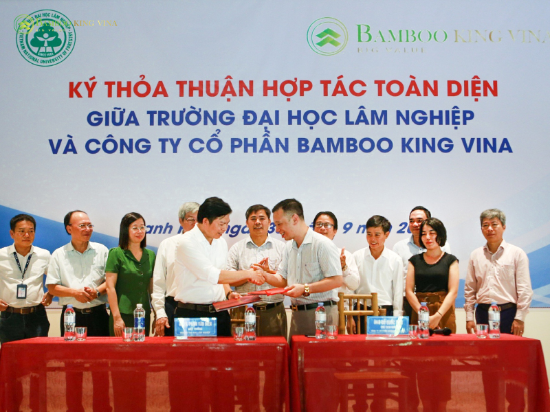 Đồ Gia Dụng Tre