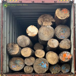 GỖ TẦN BÌ TRÒN NHẬP KHẨU CHÂU ÂU