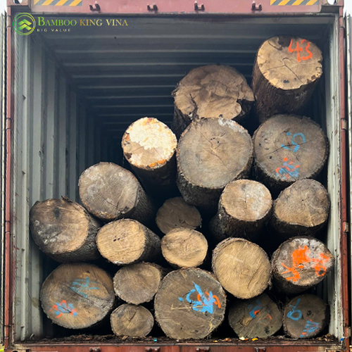 avt 5