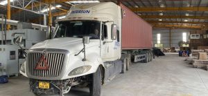 Bán Gỗ Nguyên Cây