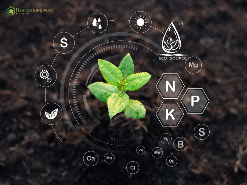 than sinh hoc biochar